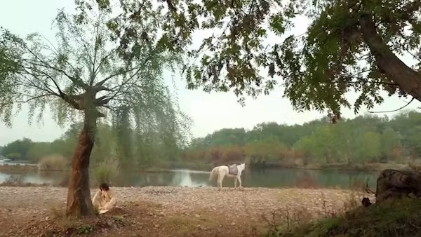 قسمت 8 (قسمت آخر)