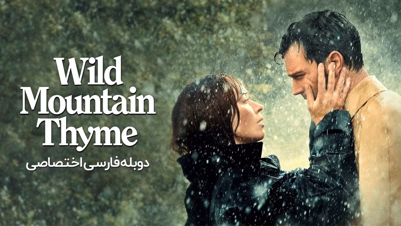 آویشن کوهستان وحشی
