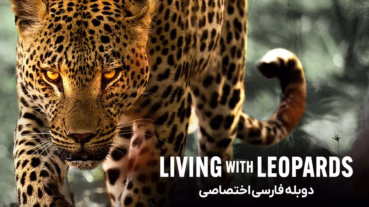 زندگی با پلنگ ها