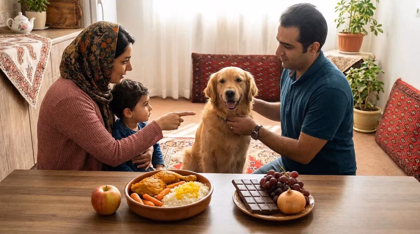 غذاهای مفید و مضر برای سگها